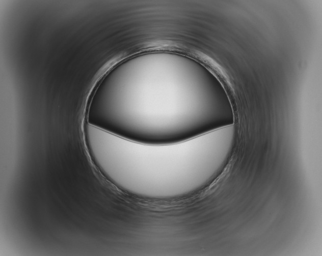 X0000100341330200806051216