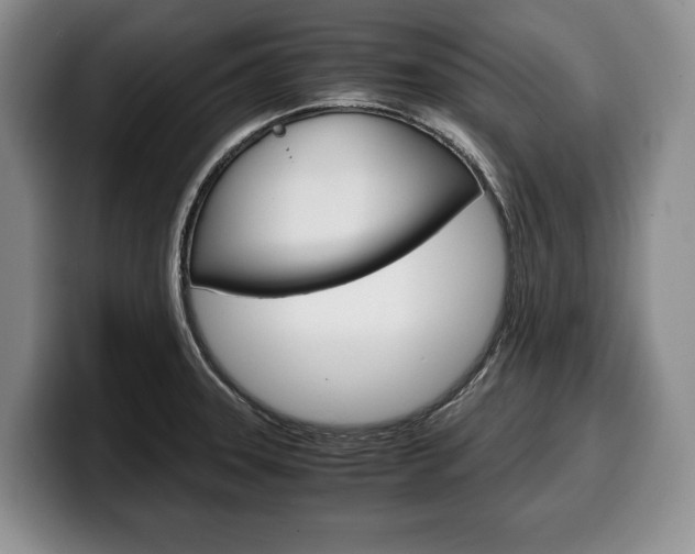 X0000100341331200806051216