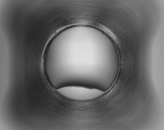 X0000100341332200806051216