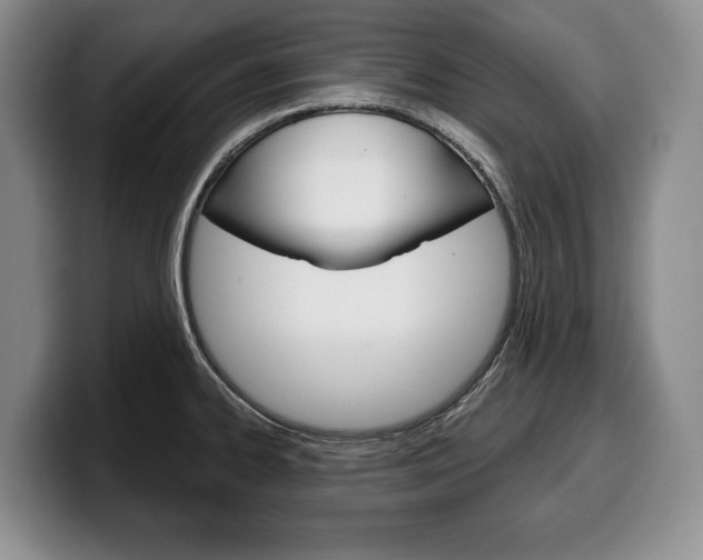 X0000100341334200806051217