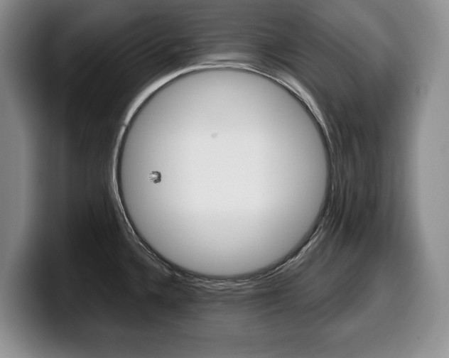 X0000100341336200806051217