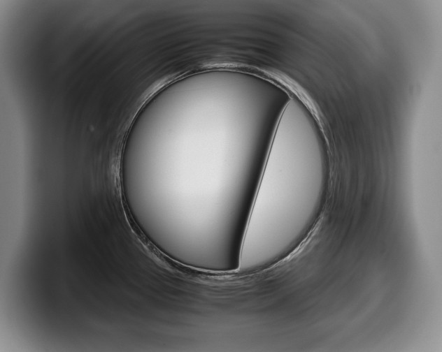 X0000100341337200806051217