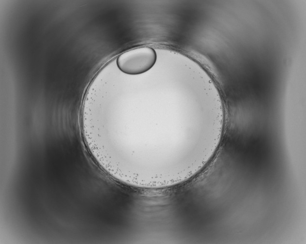 X0000100341338200806051217