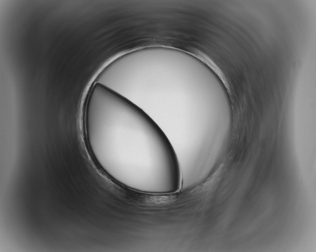 X0000100341339200806051217