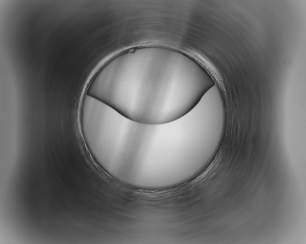 X0000100341340200806051217