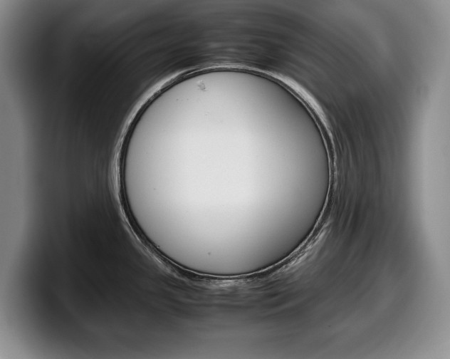 X0000100341341200806051217