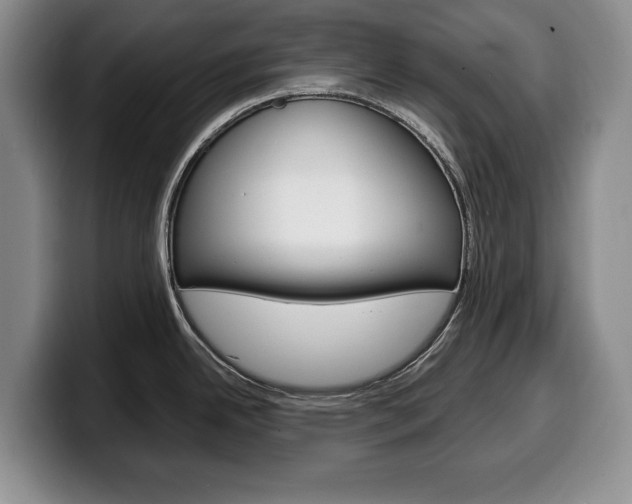 X0000100341342200806051217