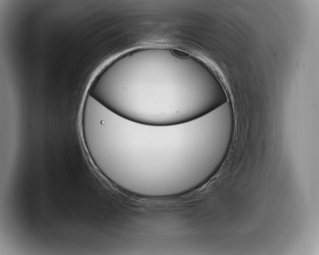 X0000100341344200806051217
