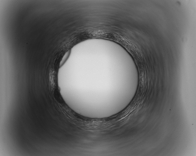 X0000100341346200806051216
