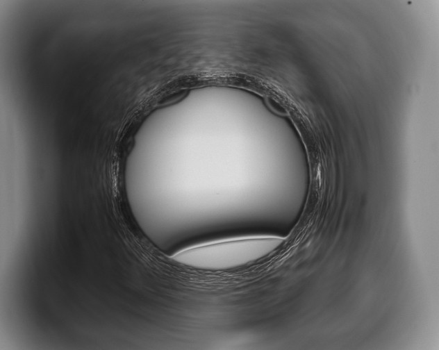 X0000100341348200806051216