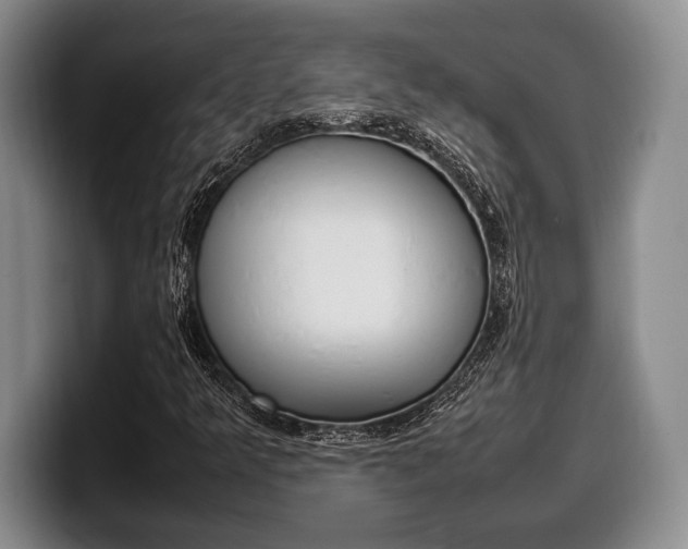 X0000100341349200806051216