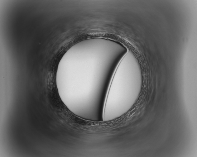 X0000100341351200806051216