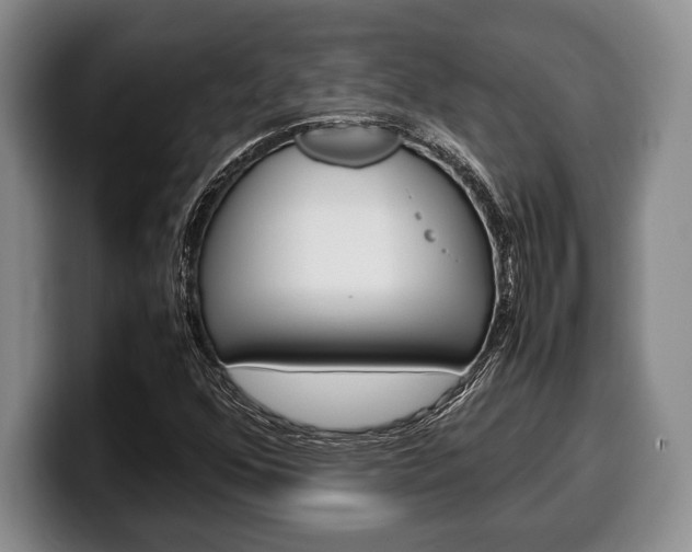 X0000100341352200806051216