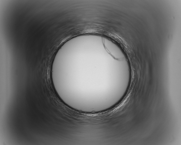 X0000100341353200806051216