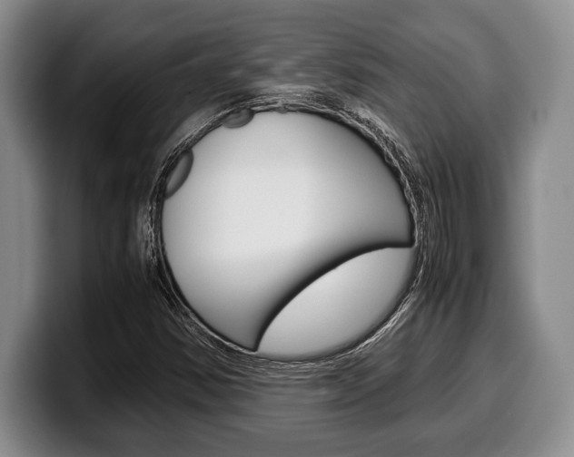 X0000100341354200806051216
