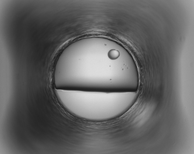 X0000100341355200806051216