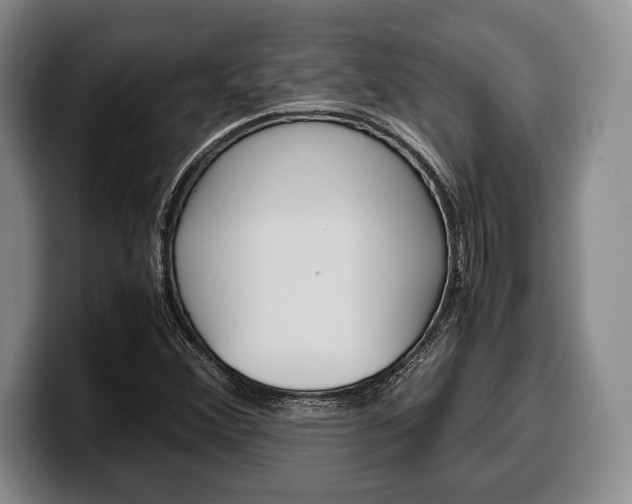 X0000100341356200806051216