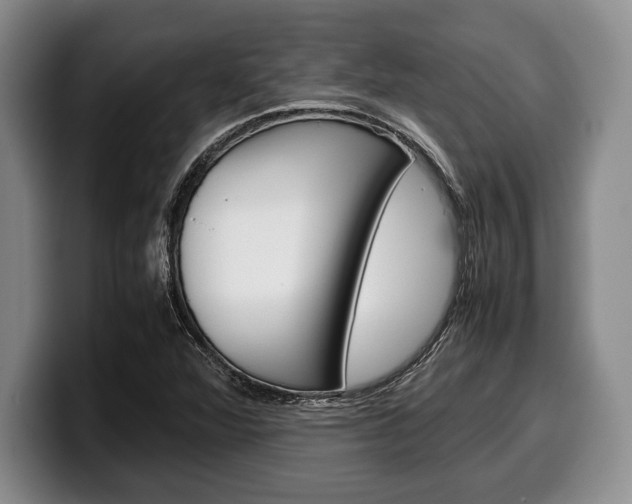 X0000100341360200806051216