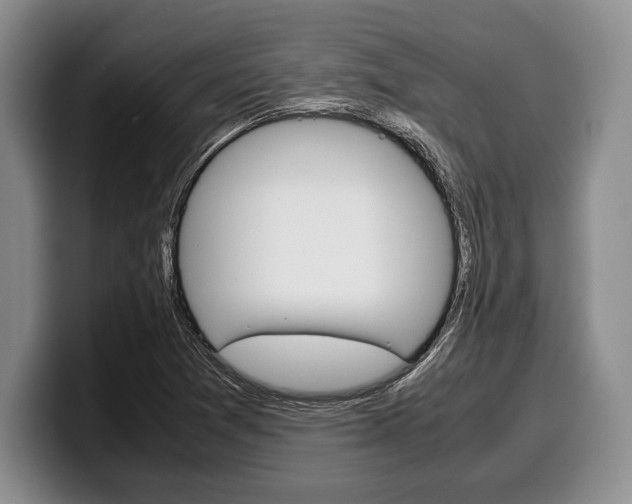 X0000100341361200806051216