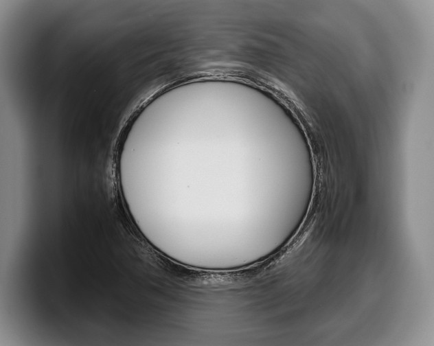 X0000100341362200806051216