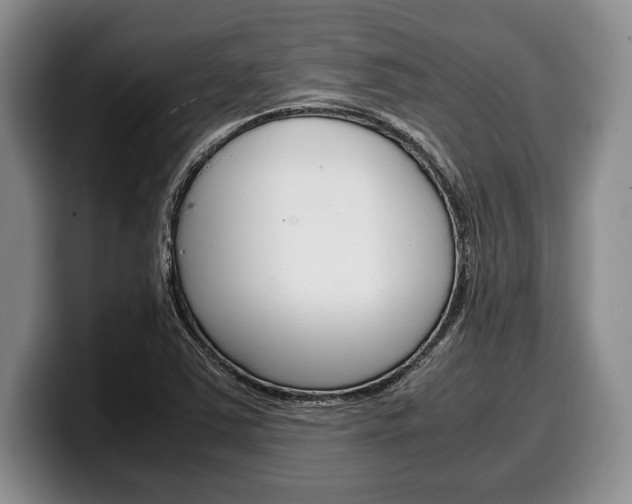 X0000100341363200806051216