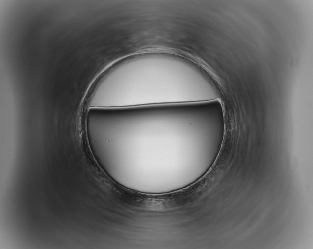 X0000100341364200806051216