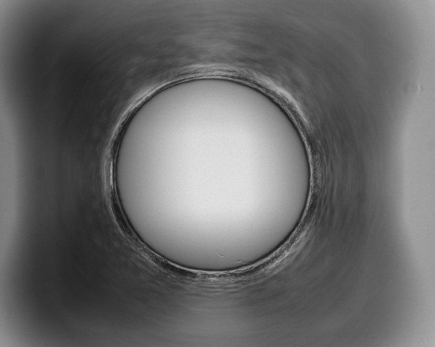 X0000100341365200806051216