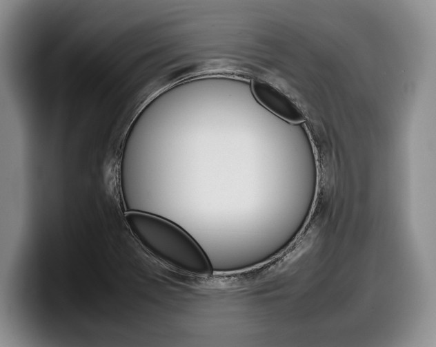 X0000100341369200806051216