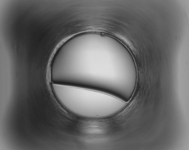 X0000100341371200806051216