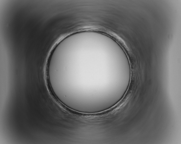 X0000100341373200806051216