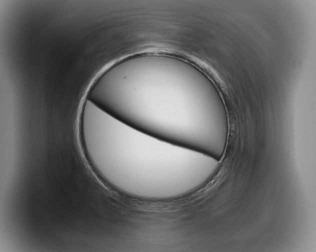 X0000100341375200806051216