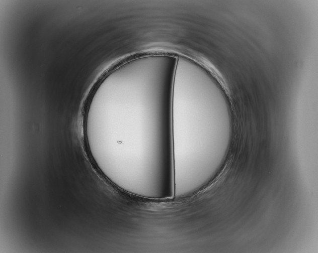 X0000100341376200806051216