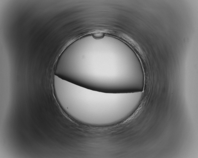 X0000100341377200806051216