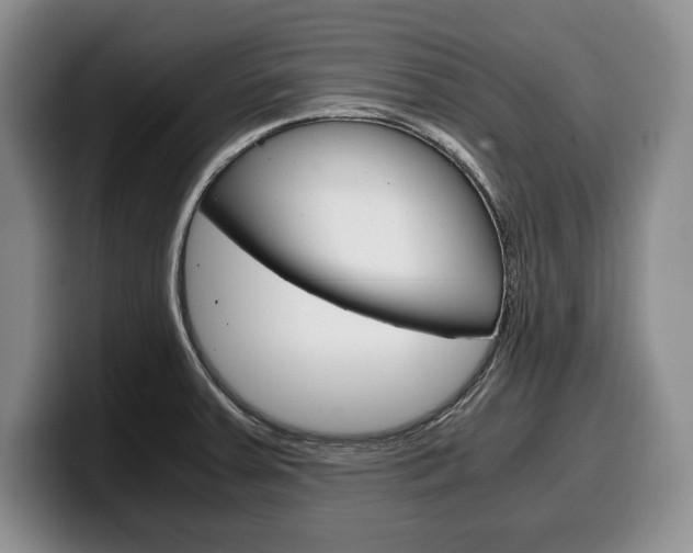 X0000100341379200806051215