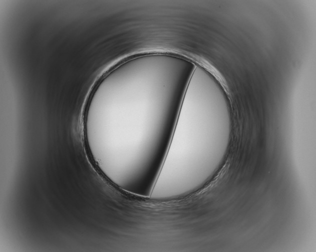 X0000100341380200806051215