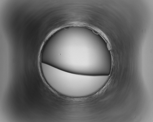 X0000100341381200806051215