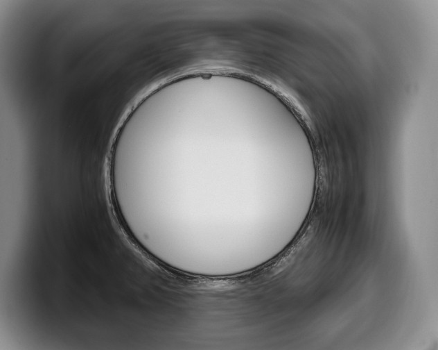 X0000100341382200806051215