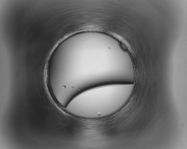 X0000100341383200806051215
