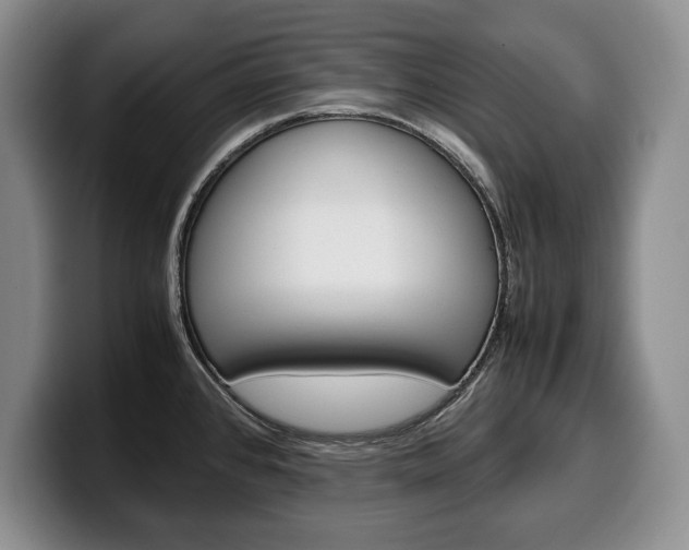 X0000100341384200806051215