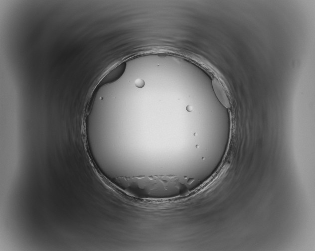 X0000100341385200806051215