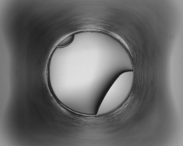 X0000100341387200806051215