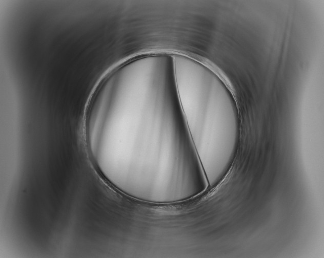 X0000100341388200806051215