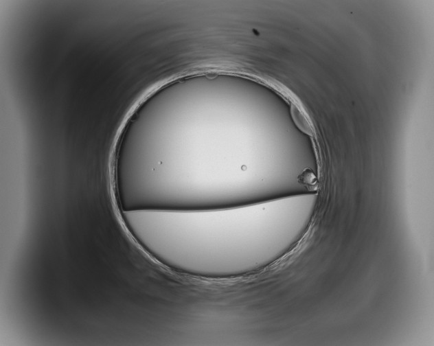 X0000100341389200806051215