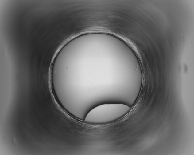 X0000100341390200806051215