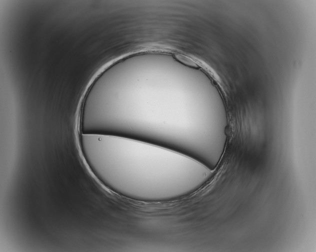 X0000100341391200806051215