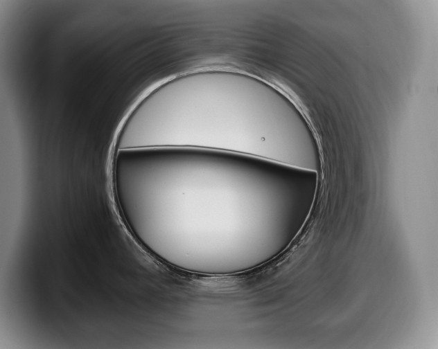 X0000100341392200806051215