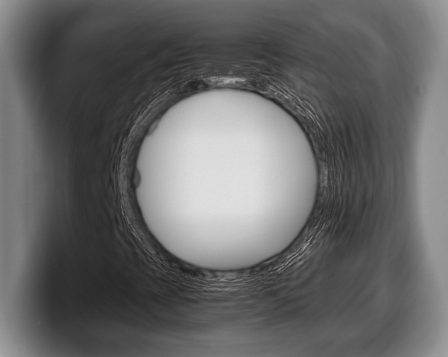 X0000100341393200806051215