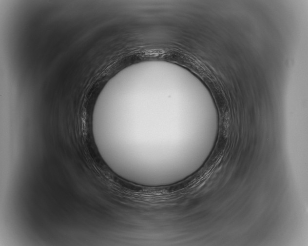 X0000100341394200806051215