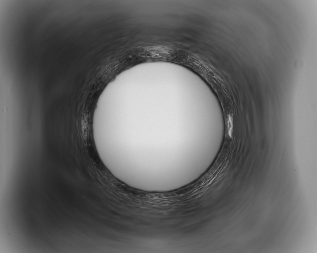 X0000100341395200806051215