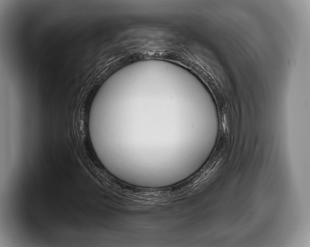 X0000100341396200806051215
